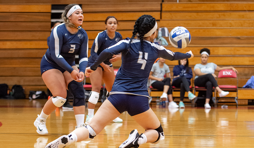 Lady Falcons Sweep The Lynx Sunday Afternoon In A Volleyball Doubleheader