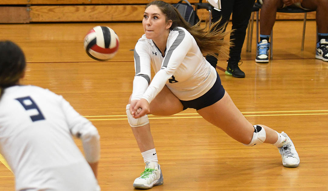 Women's Volleyball: Falcons fly past Curry, 3-0
