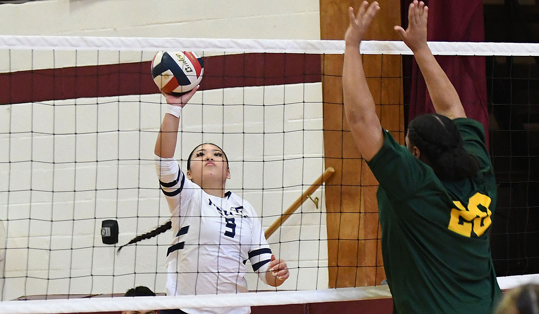 Women's Volleyball: Falcons power past VSU-Lyndon